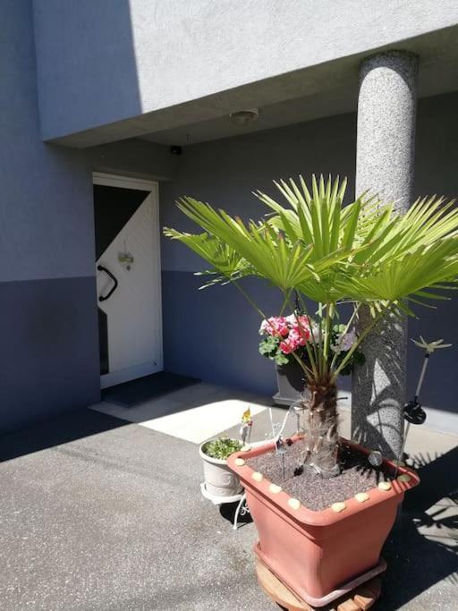 Appartement Agreable Haguenau Exteriér fotografie